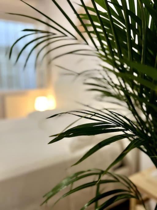 Casa Centro Firenze Wi Fi Aria Condizionata Netflix Leilighet Eksteriør bilde